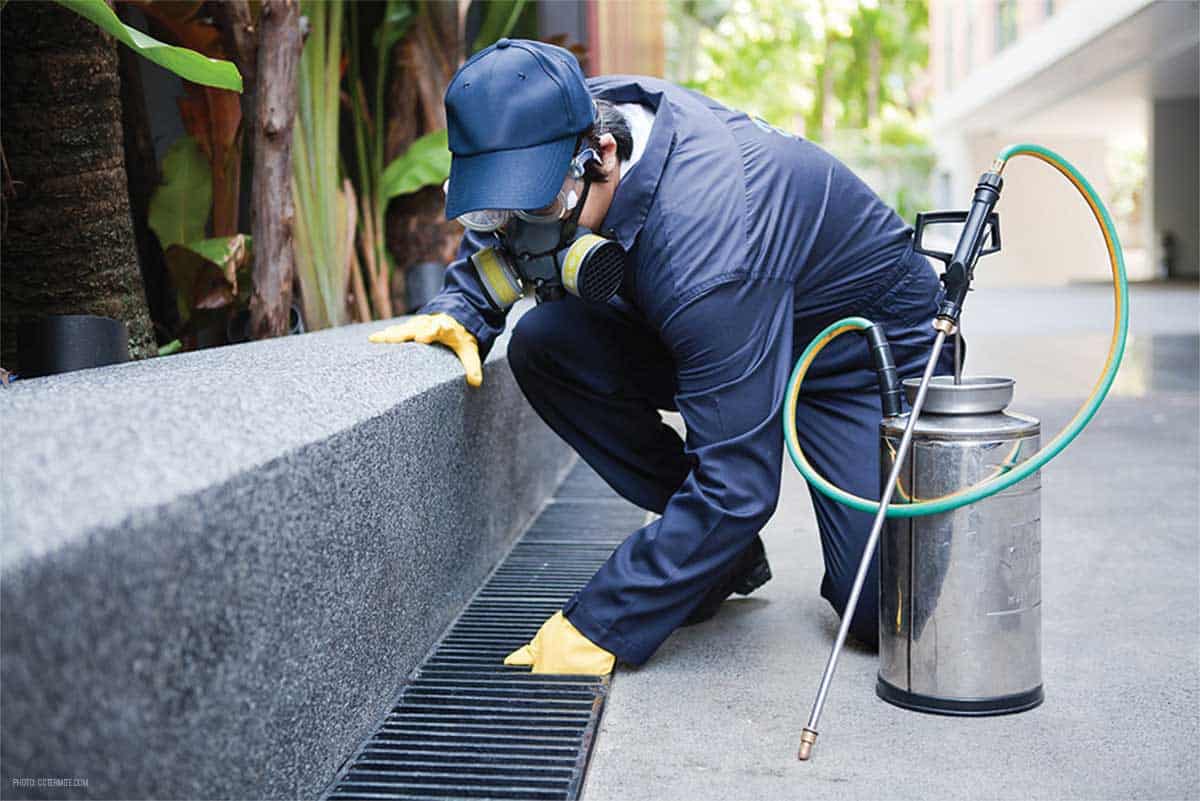 Experts de la Lutte Contre les Nuisibles