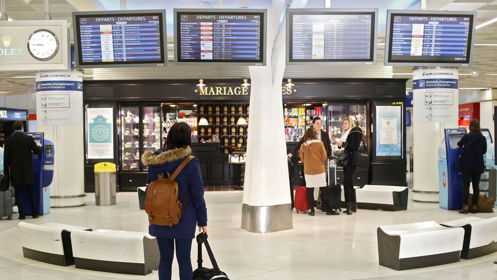 Service de dératisation aéroport et avion - éliminer les souris et rats