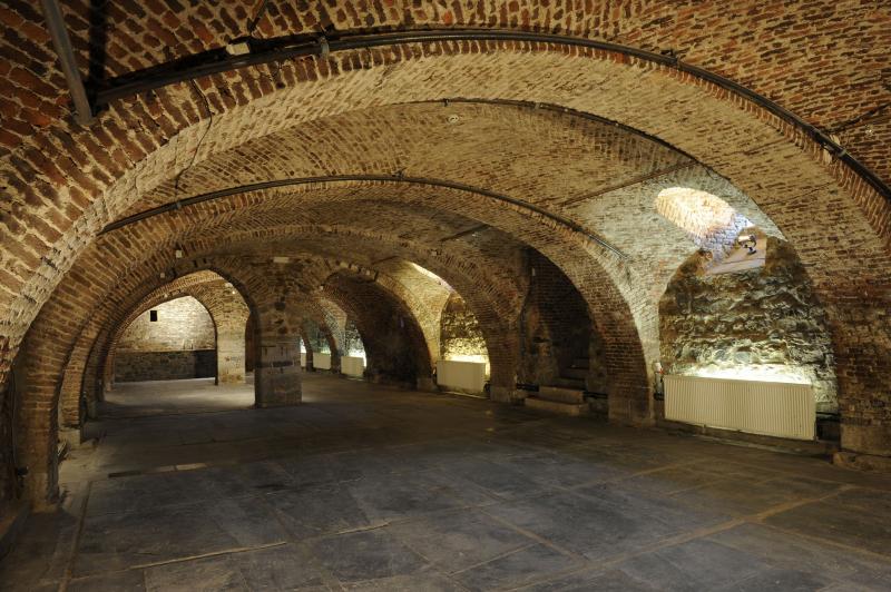 Service de dératisation cave - éliminer les souris et rats