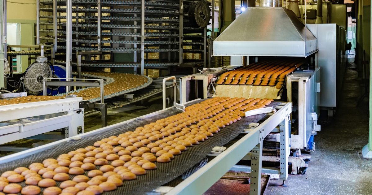 Service de dératisation industrie alimentaire - éliminer les souris et rats