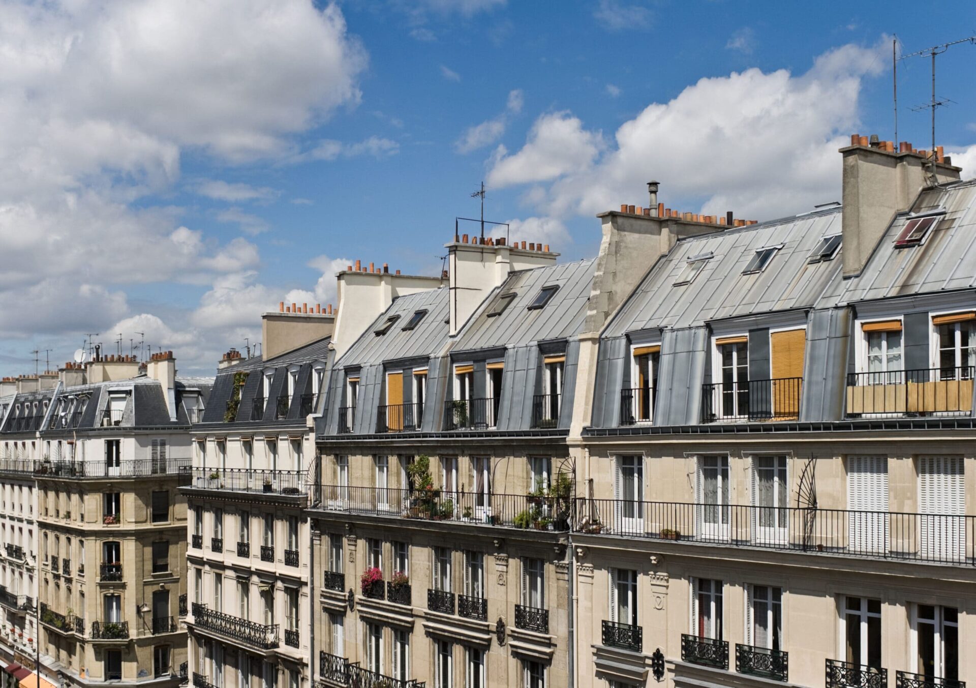 Service de dératisation syndic de copropriété - éliminer les souris et rats